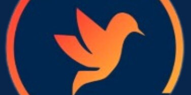 QINTI Logo