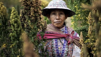 Woman from the Andes