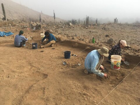 Students in the field