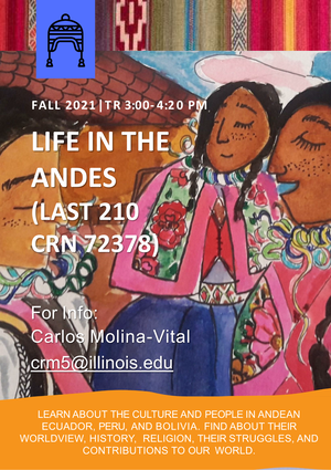 Andes Flyer