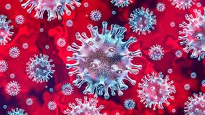 image of coronavirus