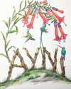 Ayni Book Cover