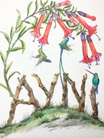 Ayni Book Cover